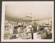 Photograph: [Photograph of a African American Owned Grocery Store]