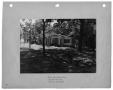 Thumbnail image of item number 1 in: '[Photograph of Big Thicket Inn at White Rock Lake Park]'.