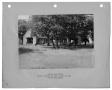 Primary view of [Photograph of Bachman Lake Park Picnic Shelter]