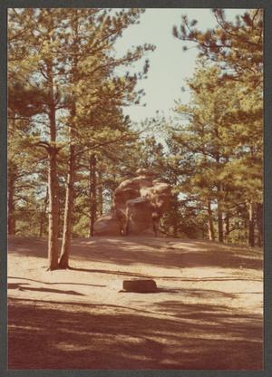 Primary view of object titled '[Red Boulder in Woods]'.