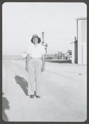 Primary view of object titled '[WASP standing in Road]'.