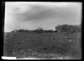 Photograph: [Grandstands in a Field]
