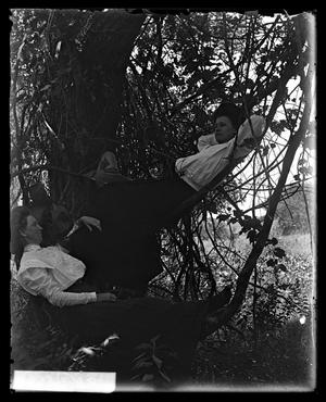 [Girls Relaxing in Tree]