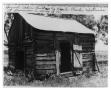 Photograph: Charlie Westerman's Second Cabin