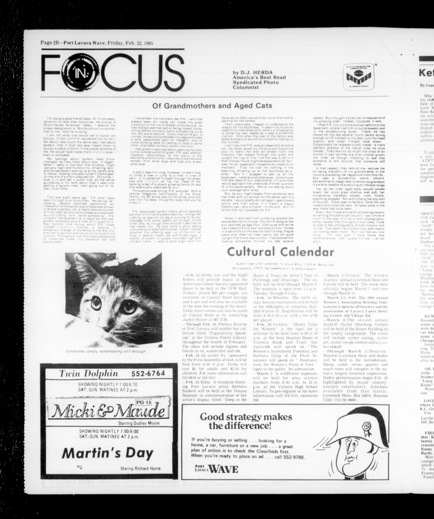 Port Lavaca Wave (Port Lavaca, Tex.), Vol. 94, No. 120, Ed. 1 Friday, February 22, 1985
                                                
                                                    [Sequence #]: 12 of 44
                                                