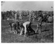 Thumbnail image of item number 1 in: 'Boy Scout at Rancho de las Cabras'.