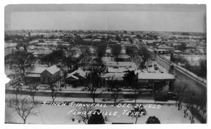 Primary view of object titled '[Snowfall in Floresville, Texas]'.