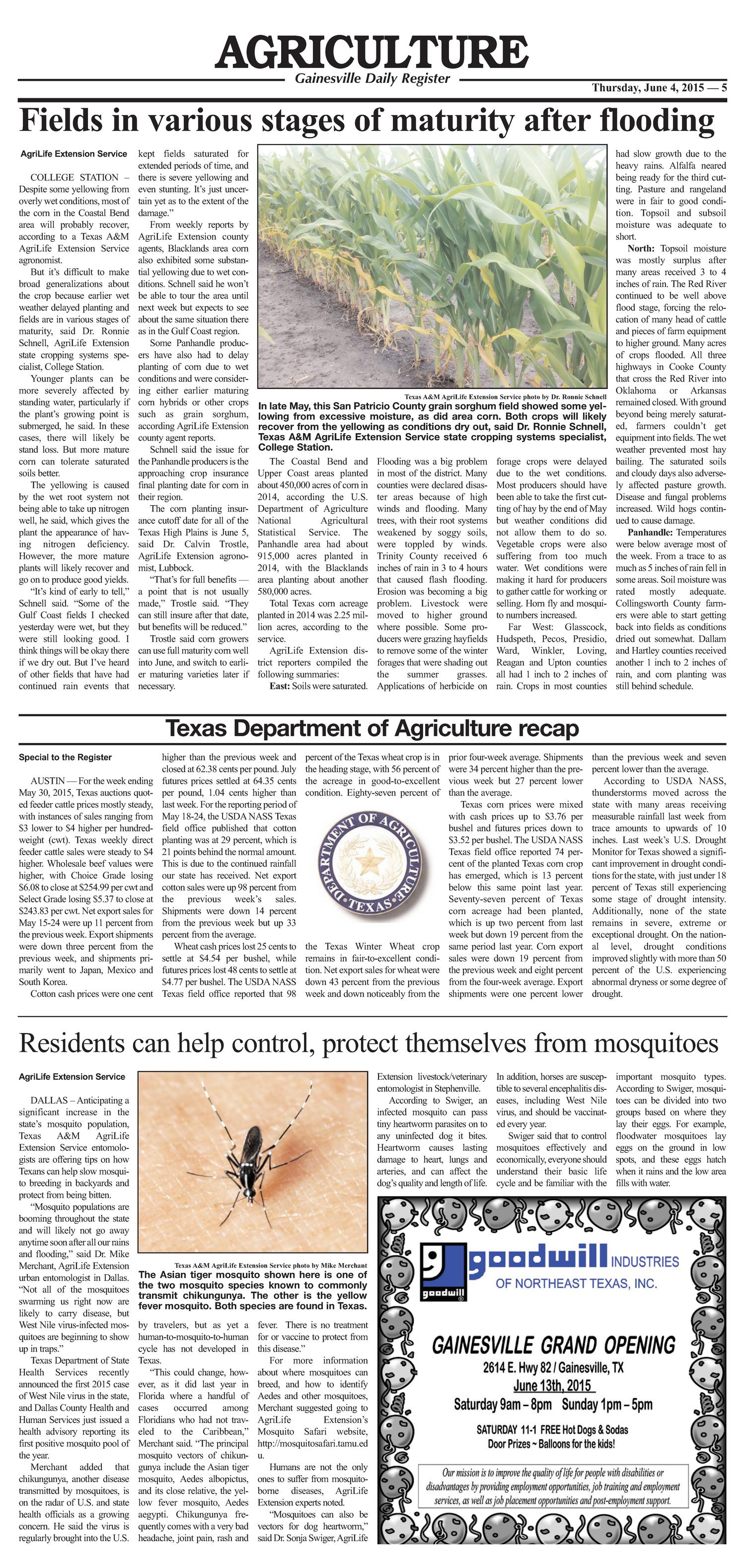 Gainesville Daily Register (Gainesville, Tex.), Vol. 125, No. 196, Ed. 1 Thursday, June 4, 2015
                                                
                                                    [Sequence #]: 5 of 10
                                                