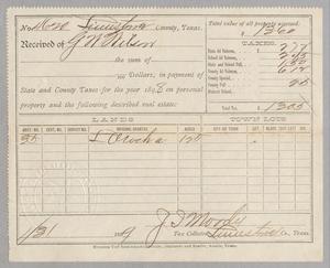 [Receipt for Taxes Paid by G. W. Wilson, January 1899]