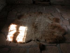 Primary view of object titled '[Animal Skin Rug]'.