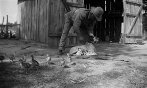 [Man, Dog, Puppies, and Chickens Outside a Shed]