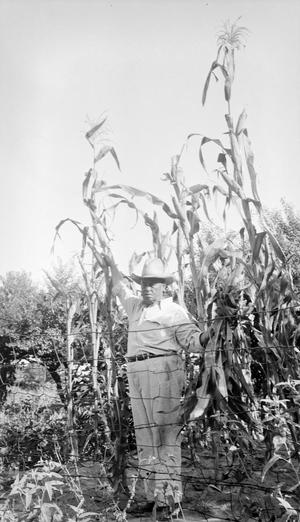 [Man Posing with a Stalk of Corn #2]