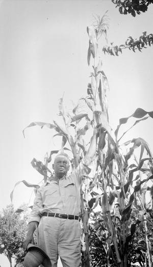 [Man Posing with a Stalk of Corn #1]