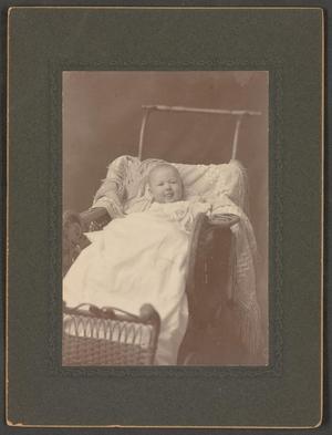 Primary view of object titled '[Photograph of a Baby in a Wicker Pram]'.