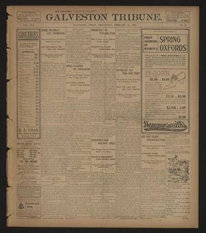 Galveston Tribune. (Galveston, Tex.), Vol. 25, No. 77, Ed. 1 Wednesday, February 22, 1905