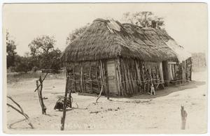 Primary view of object titled '[Thatch Roof Home]'.