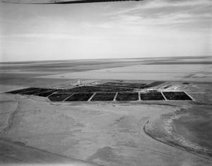 [Aerial Photograph of the Pitman-Easley Feed Yard]