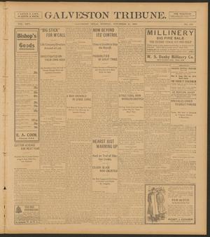 Galveston Tribune. (Galveston, Tex.), Vol. 25, No. 310, Ed. 1 Tuesday, November 21, 1905
