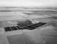 Thumbnail image of item number 1 in: '[Aerial Photograph of Feed Yards in Deaf Smith County]'.