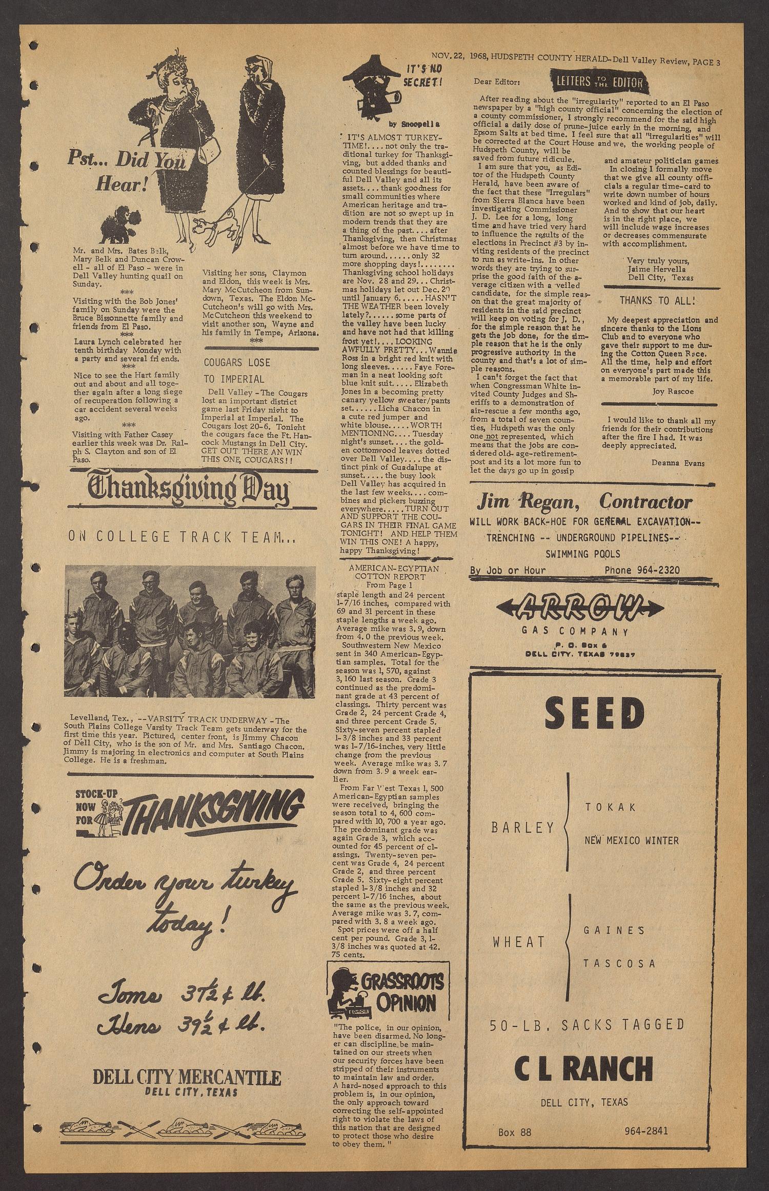 Hudspeth County Herald and Dell Valley Review (Dell City, Tex.), Vol. 13, No. 12, Ed. 1 Friday, November 22, 1968
                                                
                                                    [Sequence #]: 3 of 6
                                                