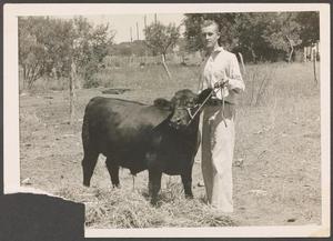 Primary view of object titled '[Wendell Tarver with Cow]'.
