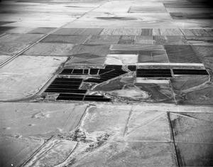 [Aerial Photograph of Feed Yards in Winter]