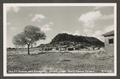 Thumbnail image of item number 1 in: '[Old Fort Davis and Sleeping Lion Mountain]'.