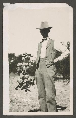 [Ernest H. Carlton with Apples on a Rope]