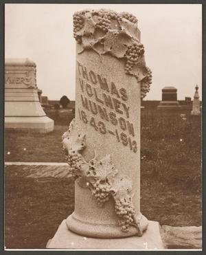 [Photograph of T. V. Munson's Grave Marker]