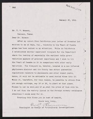 Primary view of object titled '[Letter from George C. Husmann to T. V. Munson, January 30, 1911]'.