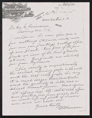 Primary view of object titled '[Letter from T. V. Munson to George C. Husmann, February 3, 1911]'.