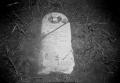 Thumbnail image of item number 1 in: '[La Plata Cemetery]'.