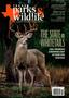 Journal/Magazine/Newsletter: Texas Parks & Wildlife, Volume 77, Number 9, November 2019