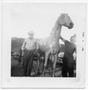 Photograph: [Daniel A. Castillo With Wooden Horse]
