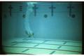 Photograph: [Diver entering water at Palo Alto College Natatorium]