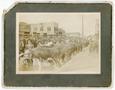 Photograph: [Steers on Courthouse Square]