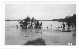 Primary view of [Trinity River Flood]