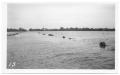 Thumbnail image of item number 1 in: '[Trinity River Flood]'.