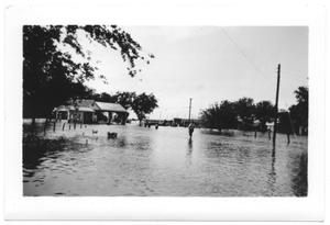 [Red River Flood in Gainesville, TX]