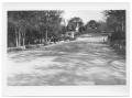 Photograph: [East Lawther Entrance of White Rock Lake]