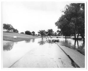 Primary view of object titled '[Flood Water on Street]'.