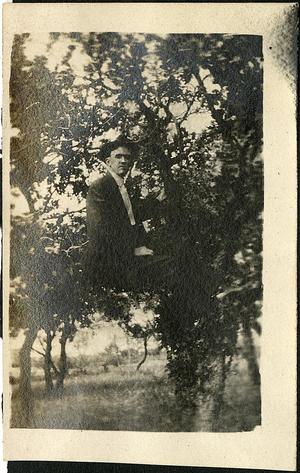 [Man wearing a suit and in a tree]