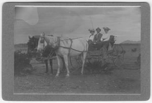 W.A.King Family in wagon with horses