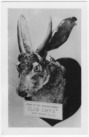 Primary view of object titled 'Jackalope postcard from Club Cafe'.