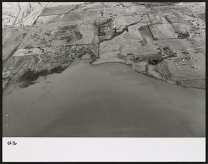 [Elgin Photograph #16 - Portion of the Lake Ray Hubbard Shoreline]