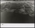 Thumbnail image of item number 1 in: '[Elgin Photograph #5 - Shore of Lake Ray Hubbard]'.