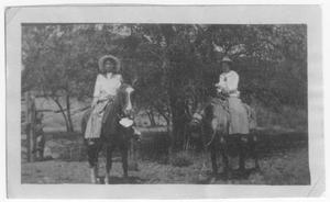 Primary view of Vida McAdoo and Alma Gibson