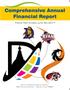 Thumbnail image of item number 1 in: 'Denton Independent School District Comprehensive Annual Financial Report: 2017'.