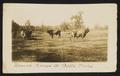 Primary view of [Ranch Kings at Booth, Texas]
