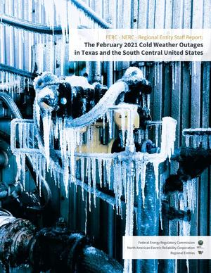 Primary view of object titled 'The February 2021 cold weather outages in Texas and the South Central United States'.